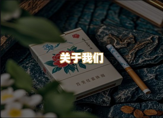 关于我们